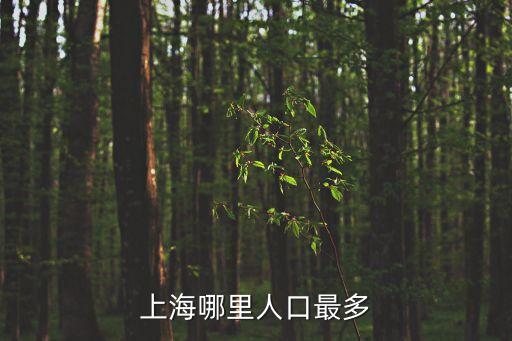 上海哪里人口最多