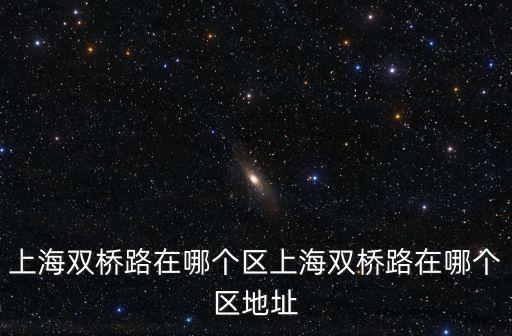 上海雙橋路在哪個區上海雙橋路在哪個區地址