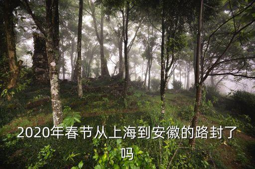 2020年春節(jié)從上海到安徽的路封了嗎