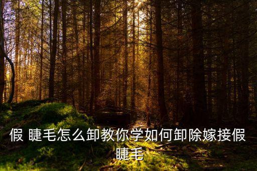 假睫毛怎么卸,第二集:假睫毛也能美化睫毛!