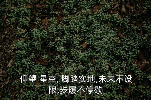 仰望星空腳踏實地,仰望星空:心中有詩和遠方