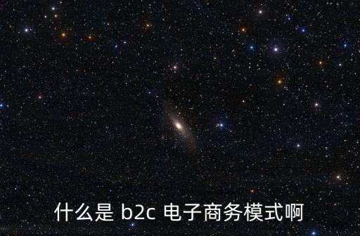 什么是 b2c 電子商務模式啊