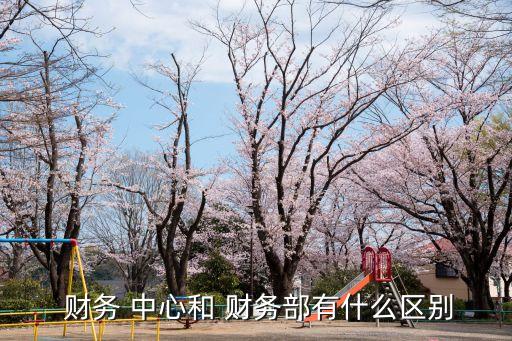 財務中心,大型企業集團都有財務中心調劑和分配資金