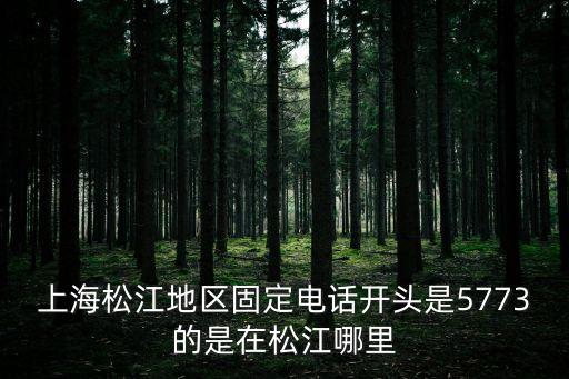 上海松江地區(qū)固定電話開(kāi)頭是5773的是在松江哪里