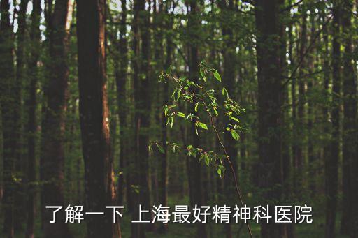 了解一下 上海最好精神科醫(yī)院