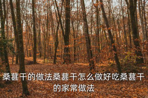 桑葚干的做法桑葚干怎么做好吃桑葚干的家常做法