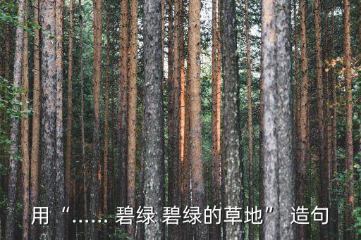 碧綠造句,第二集:碧綠碧綠的草地和五顏六色的花