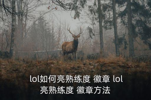  lol如何亮熟練度 徽章 lol亮熟練度 徽章方法
