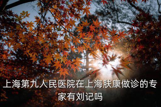 上海第九人民醫(yī)院在上海膚康做診的專家有劉記嗎