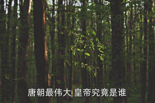 大唐皇帝,三個好人皇帝1李顯龍李隆基唐玄宗