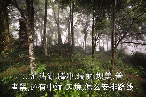 中緬邊境地圖,中國四川西部大雪山中部-云南怒江州緬甸邊境區
