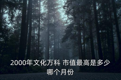 市值最高的公司,新加坡股市大起大落