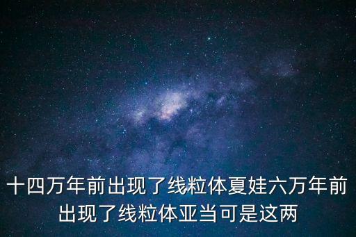 線粒體夏娃，十四萬年前出現了線粒體夏娃六萬年前出現了線粒體亞當可是這兩
