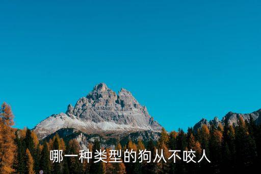 哪一種類(lèi)型的狗從不咬人