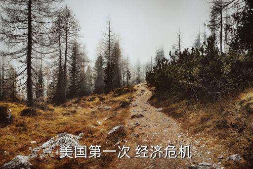 美國第一次 經濟危機