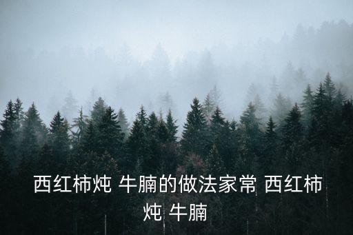 西紅柿牛腩的做法,秘訣!秘制!