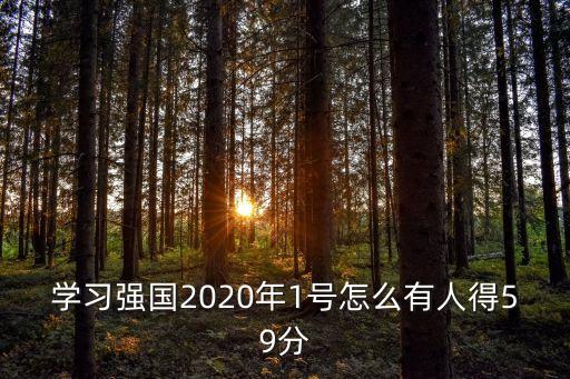 學習強國2020年1號怎么有人得59分