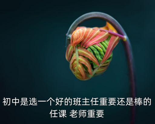 任老師,學科老師和班主任比起來更輕松!