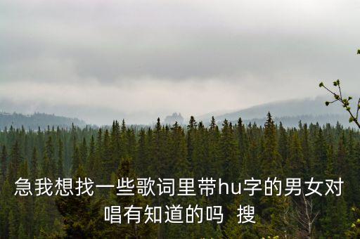歌曲糊涂的愛，急我想找一些歌詞里帶hu字的男女對唱有知道的嗎  搜