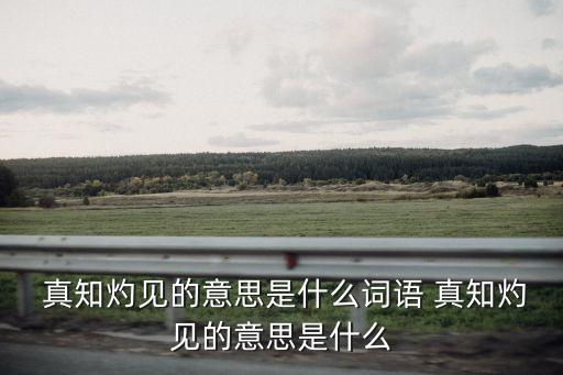 真知灼見的意思是什么詞語 真知灼見的意思是什么