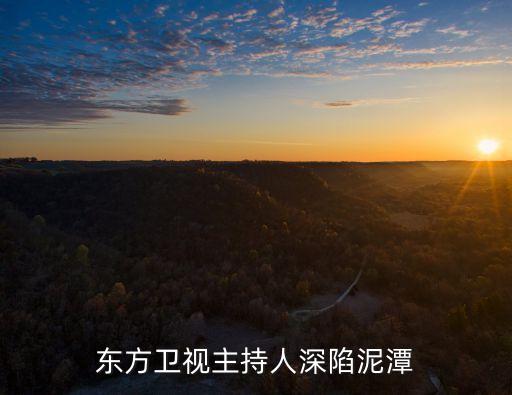 出獄周姓上海市商人，神秘周姓商人是誰