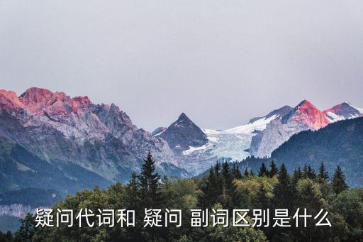  疑問代詞和 疑問 副詞區別是什么