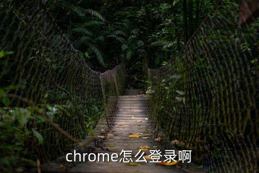 谷歌怎么登錄，怎樣登陸GOOLE