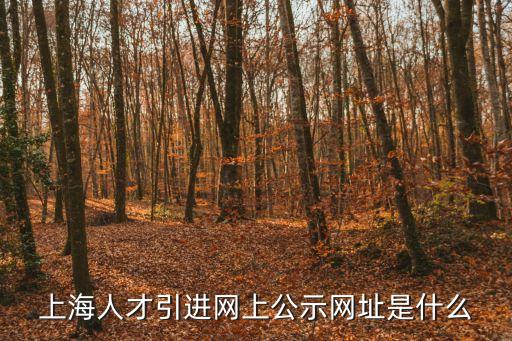 2015上海市青年拔尖人才公示，上海人才引進網上公示網址是什么