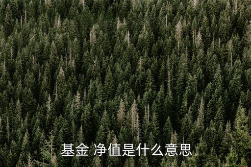 什么是基金凈值,基金凈值:1.2元資產凈值