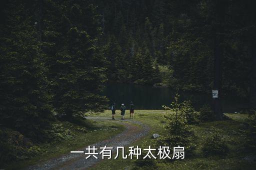 一共有幾種太極扇