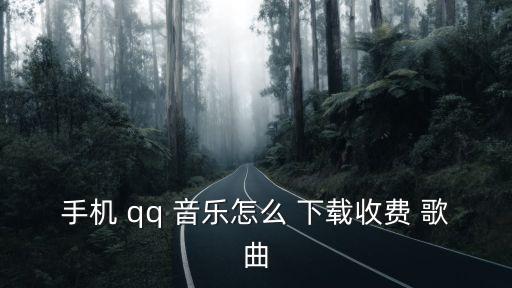 手機 qq 音樂怎么 下載收費 歌曲