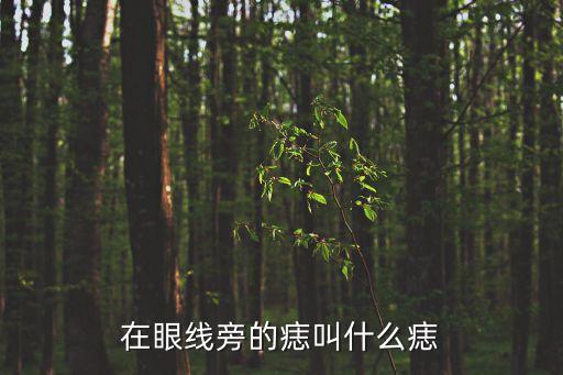 在眼線旁的痣叫什么痣