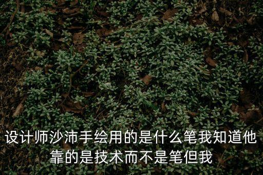設(shè)計(jì)師沙沛手繪用的是什么筆我知道他靠的是技術(shù)而不是筆但我