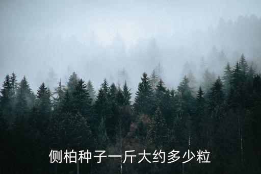 側柏種子一斤大約多少粒