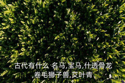 古代名馬,四大名馬之一馬來西亞中國武漢抗疫