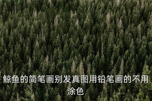 鯨魚的簡筆畫別發真圖用鉛筆畫的不用涂色