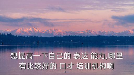 口才表達(dá)能力培訓(xùn),北京有幾家口才培訓(xùn)機(jī)構(gòu)都不錯(cuò),很好!