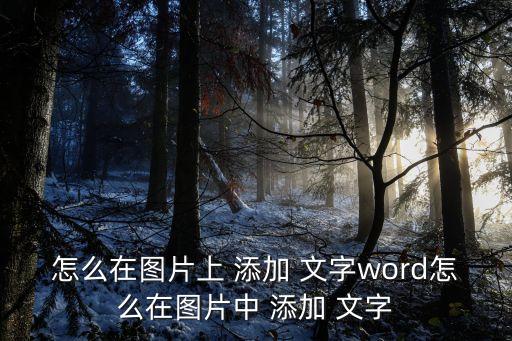 如何在圖片上添加文字,如何在魅族手機上添加文字?步驟如下