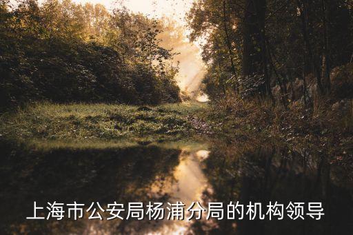 上海市公安局楊浦分局的機構(gòu)領(lǐng)導(dǎo)