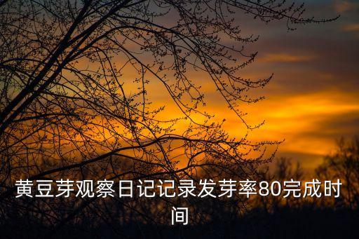 黃豆芽觀察日記記錄發芽率80完成時間