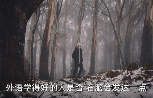 外語學(xué)得好的人是否 右腦會發(fā)達一點