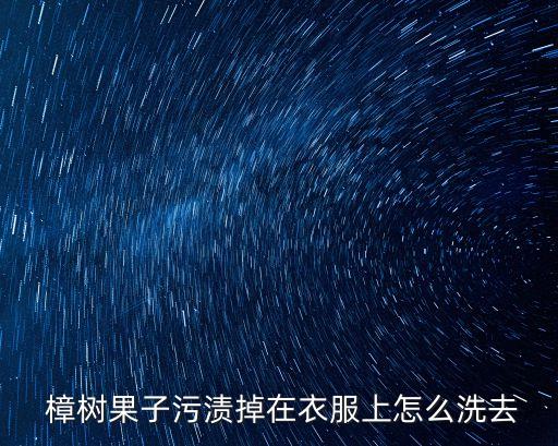  樟樹果子污漬掉在衣服上怎么洗去