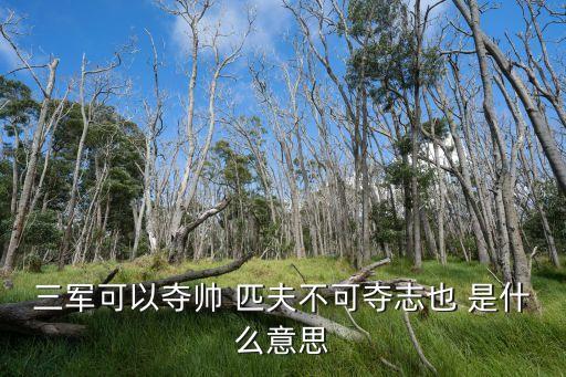 子曰三軍可奪帥也匹夫不可奪志也，子曰三軍可奪帥也匹夫不可奪志也的譯文