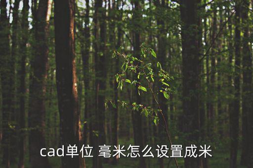 cad單位 毫米怎么設置成米