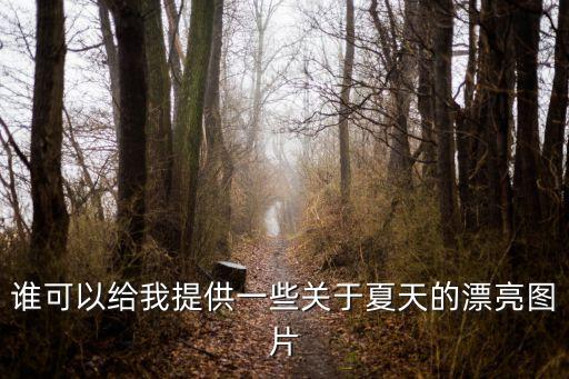 夏天圖片，08年夏季時尚搭配圖地址