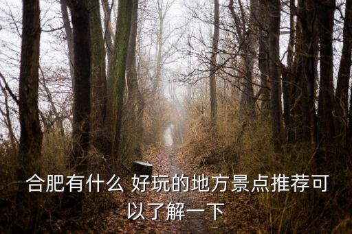 合肥好玩的地方,安徽省合肥市十大新景點(diǎn)之一