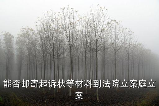 上海市浦東新區法院郵寄起訴書，能否郵寄起訴狀等材料到法院立案庭立案