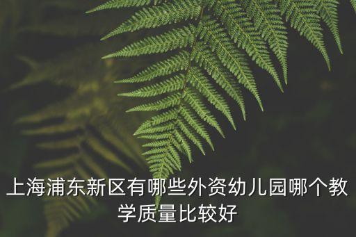 上海浦東新區有哪些外資幼兒園哪個教學質量比較好
