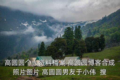 高圓圓個人資料檔案 高圓圓博客合成照片圖片 高圓圓男友于小偉  搜