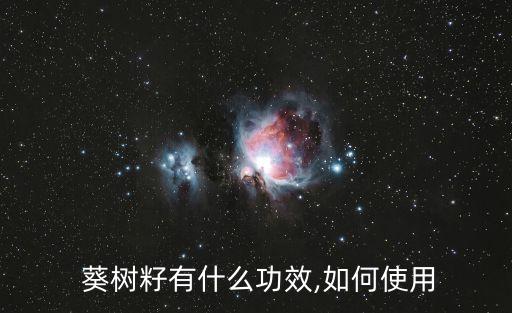 葵樹,廣州植物志介紹葵樹紫寶湯正常人可喝